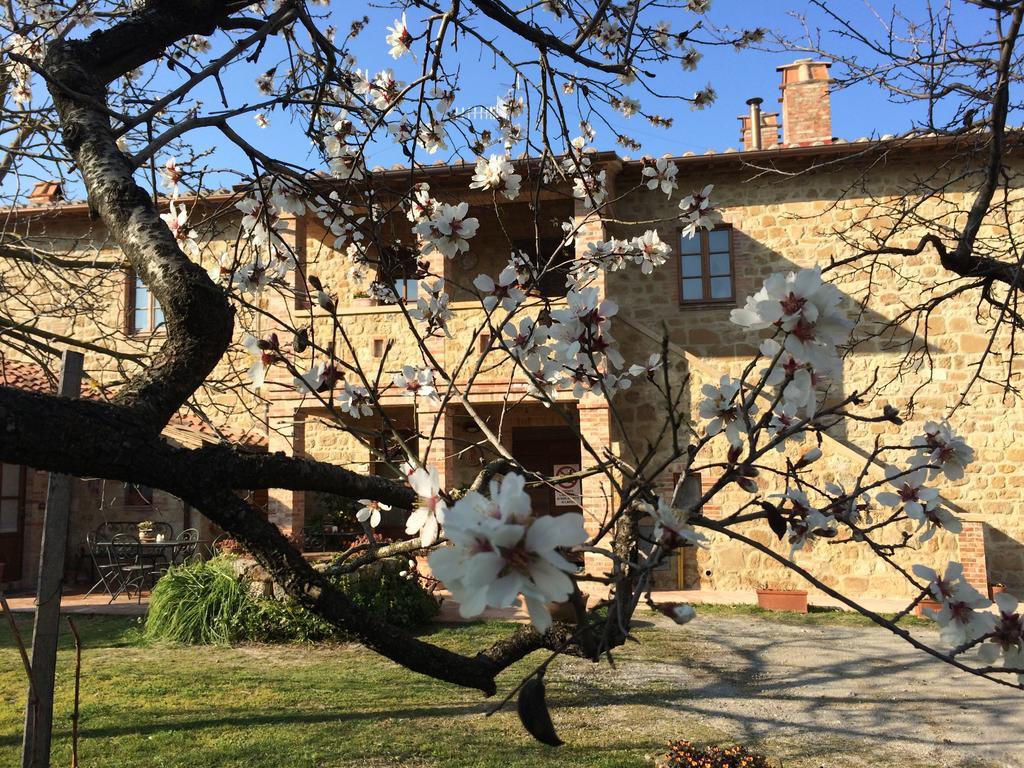 Agriturismo Podere San Gregorio Пиенца Экстерьер фото